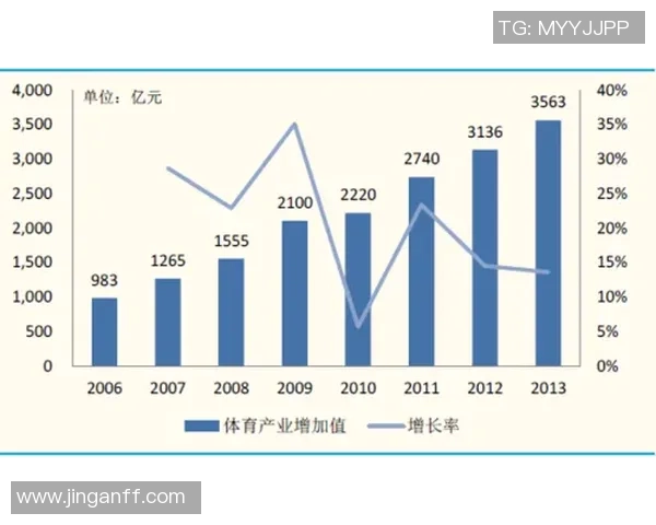 足球球星高额收入与税收政策对体育产业公平发展的深远影响分析