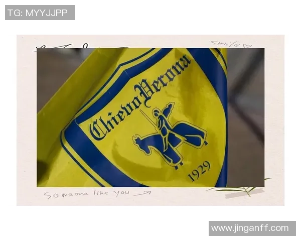 维罗纳足球传奇球星的崛起与辉煌历程揭秘